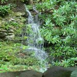 Waterfall at Starkeytown Smoky Mountains